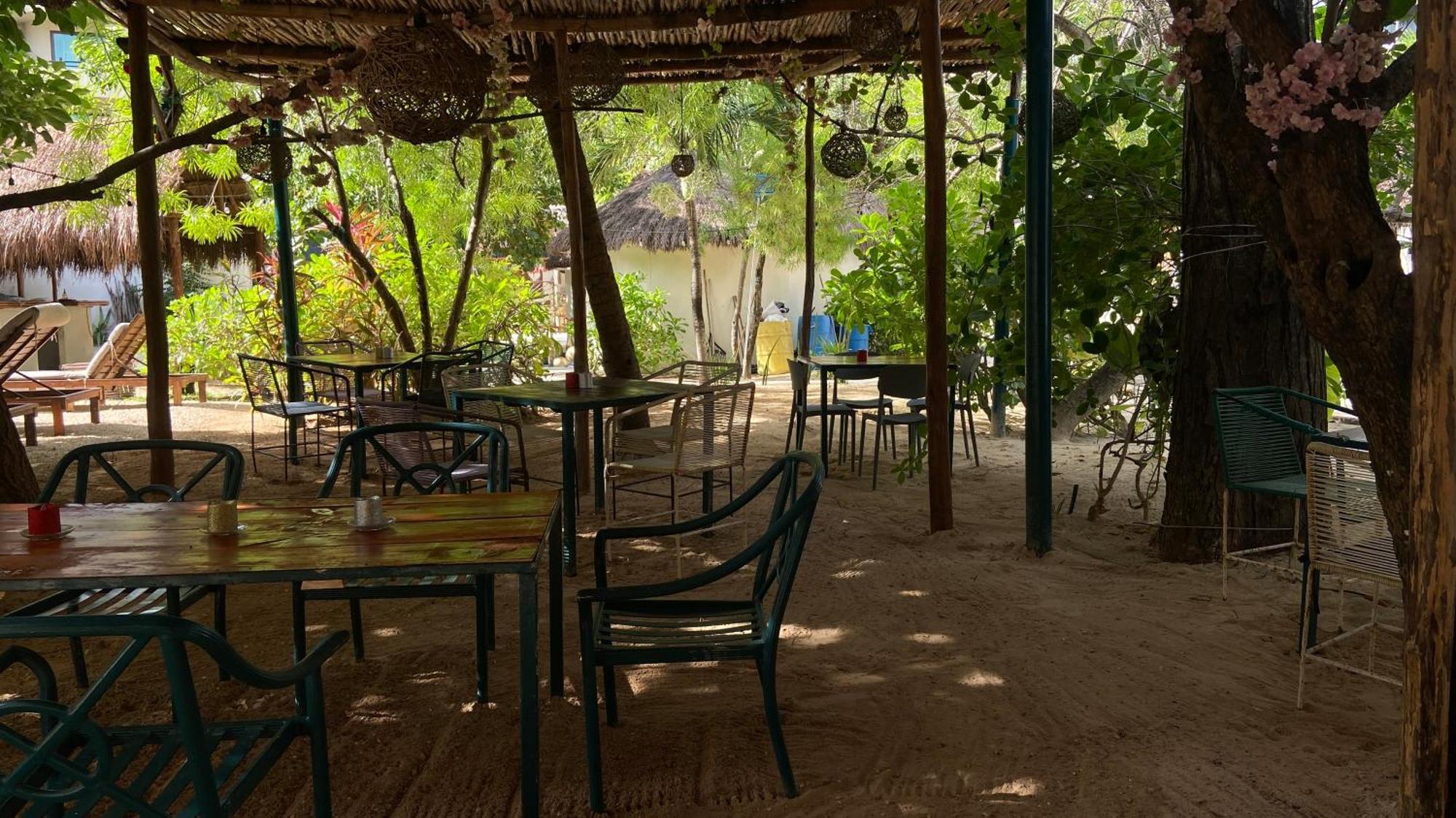 Nature Stay (Adults Only) Плая-дель-Кармен Экстерьер фото