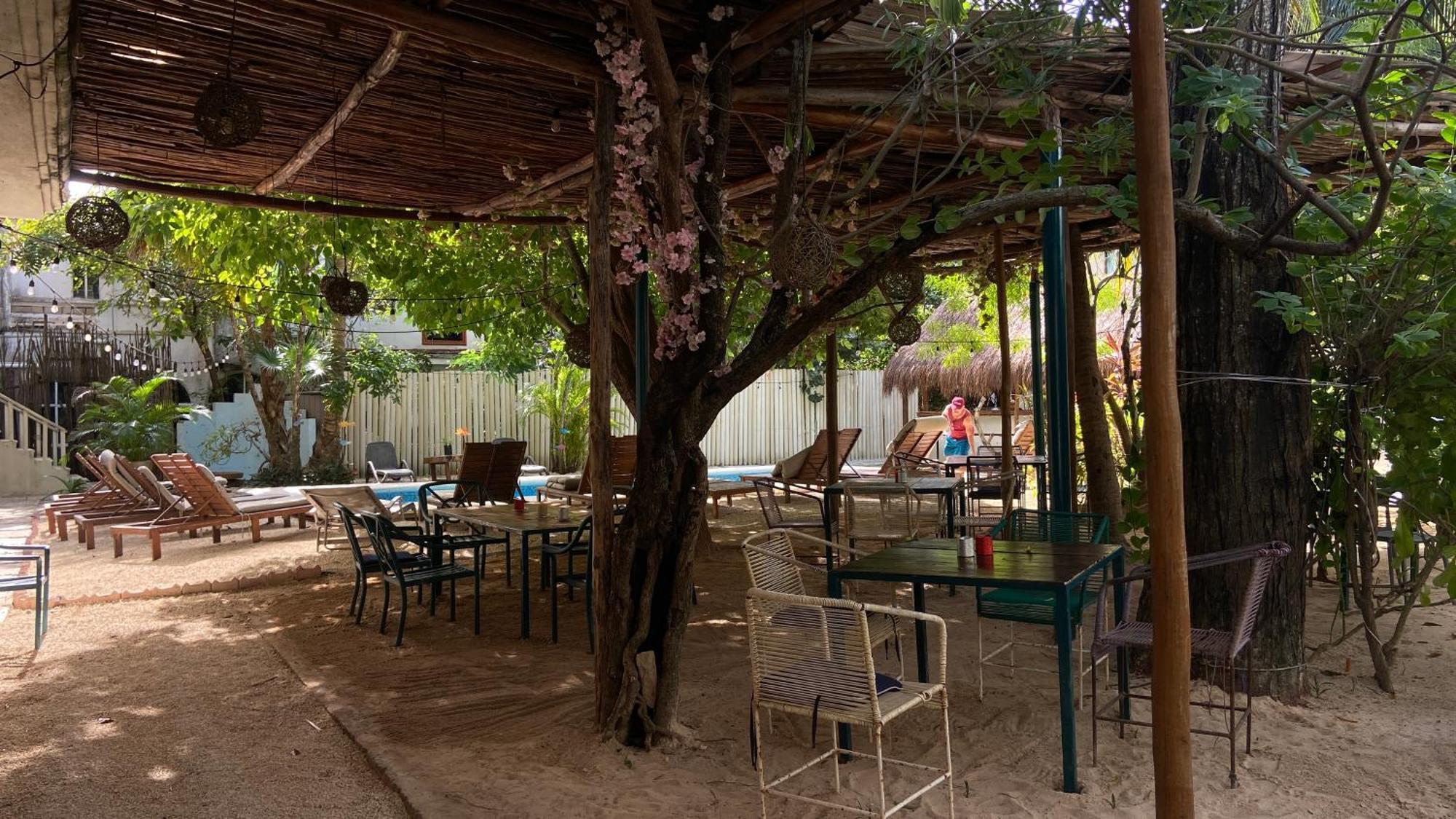 Nature Stay (Adults Only) Плая-дель-Кармен Экстерьер фото