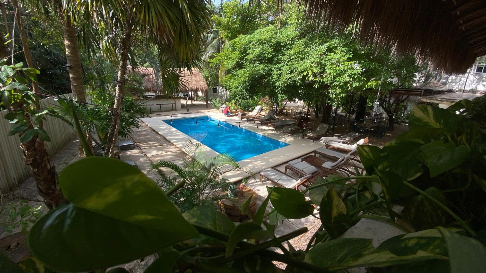 Nature Stay (Adults Only) Плая-дель-Кармен Экстерьер фото